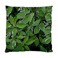 Texture Leaves Light Sun Green Standard Cushion Case (one Side) by BangZart