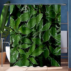 Texture Leaves Light Sun Green Shower Curtain 60  X 72  (medium)  by BangZart