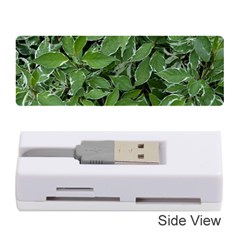 Texture Leaves Light Sun Green Memory Card Reader (stick)  by BangZart