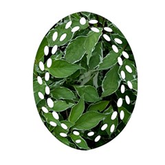 Texture Leaves Light Sun Green Oval Filigree Ornament (two Sides) by BangZart