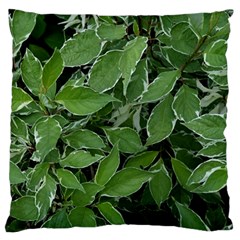 Texture Leaves Light Sun Green Large Cushion Case (one Side) by BangZart