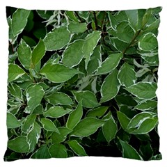 Texture Leaves Light Sun Green Large Flano Cushion Case (two Sides) by BangZart