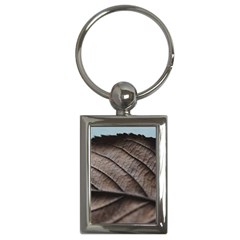 Leaf Veins Nerves Macro Closeup Key Chains (rectangle)  by BangZart