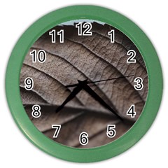 Leaf Veins Nerves Macro Closeup Color Wall Clocks by BangZart