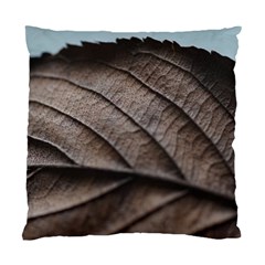 Leaf Veins Nerves Macro Closeup Standard Cushion Case (one Side) by BangZart