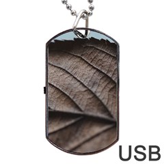 Leaf Veins Nerves Macro Closeup Dog Tag Usb Flash (two Sides) by BangZart