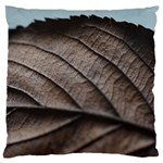 Leaf Veins Nerves Macro Closeup Standard Flano Cushion Case (Two Sides) Front