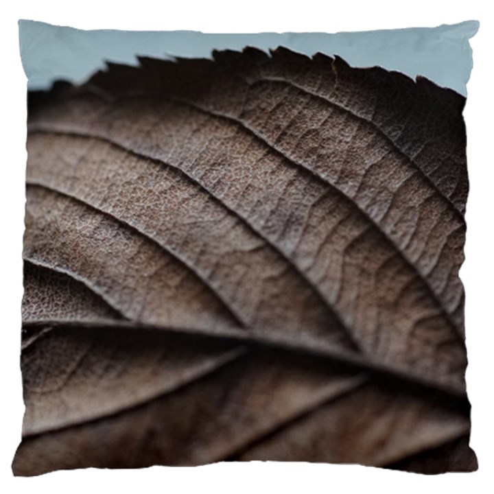 Leaf Veins Nerves Macro Closeup Standard Flano Cushion Case (Two Sides)