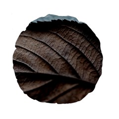 Leaf Veins Nerves Macro Closeup Standard 15  Premium Flano Round Cushions by BangZart