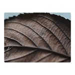 Leaf Veins Nerves Macro Closeup Double Sided Flano Blanket (Mini)  35 x27  Blanket Front