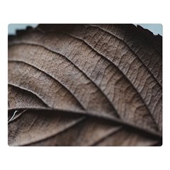 Leaf Veins Nerves Macro Closeup Double Sided Flano Blanket (large)  by BangZart