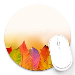 Autumn Leaves Colorful Fall Foliage Round Mousepads by BangZart