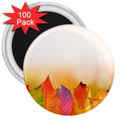 Autumn Leaves Colorful Fall Foliage 3  Magnets (100 Pack) by BangZart