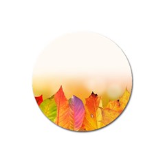 Autumn Leaves Colorful Fall Foliage Magnet 3  (round) by BangZart