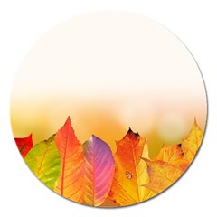 Autumn Leaves Colorful Fall Foliage Magnet 5  (round) by BangZart