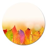 Autumn Leaves Colorful Fall Foliage Magnet 5  (Round) Front