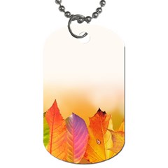 Autumn Leaves Colorful Fall Foliage Dog Tag (two Sides)