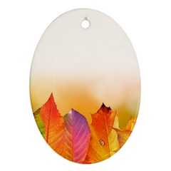 Autumn Leaves Colorful Fall Foliage Oval Ornament (two Sides) by BangZart