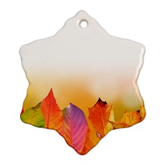 Autumn Leaves Colorful Fall Foliage Ornament (snowflake) by BangZart