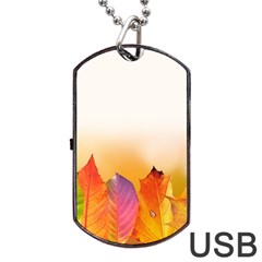 Autumn Leaves Colorful Fall Foliage Dog Tag Usb Flash (one Side)