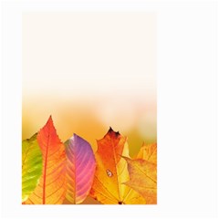 Autumn Leaves Colorful Fall Foliage Large Garden Flag (two Sides) by BangZart