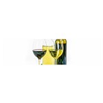 White Wine Red Wine The Bottle Satin Scarf (Oblong) Front