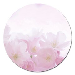 Pink Blossom Bloom Spring Romantic Magnet 5  (round) by BangZart