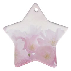 Pink Blossom Bloom Spring Romantic Star Ornament (two Sides) by BangZart