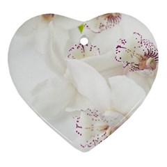 Orchids Flowers White Background Ornament (heart)