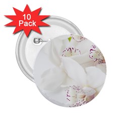 Orchids Flowers White Background 2 25  Buttons (10 Pack) 