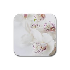 Orchids Flowers White Background Rubber Coaster (square)  by BangZart