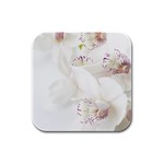 Orchids Flowers White Background Rubber Square Coaster (4 pack)  Front