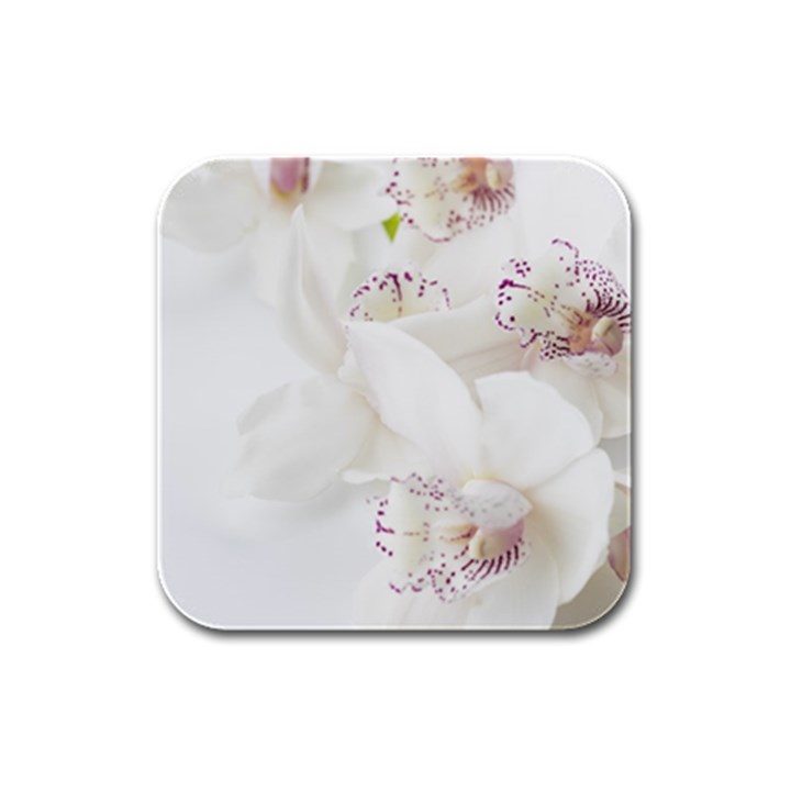 Orchids Flowers White Background Rubber Square Coaster (4 pack) 