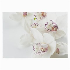 Orchids Flowers White Background Large Glasses Cloth by BangZart