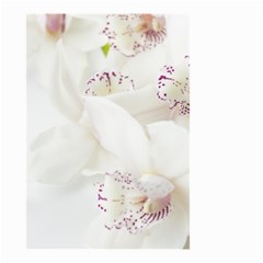 Orchids Flowers White Background Small Garden Flag (two Sides) by BangZart