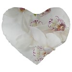 Orchids Flowers White Background Large 19  Premium Heart Shape Cushions Front