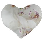 Orchids Flowers White Background Large 19  Premium Heart Shape Cushions Back