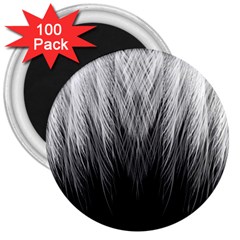 Feather Graphic Design Background 3  Magnets (100 Pack) by BangZart