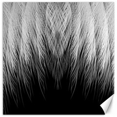 Feather Graphic Design Background Canvas 16  X 16   by BangZart