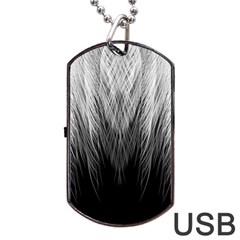 Feather Graphic Design Background Dog Tag Usb Flash (two Sides) by BangZart