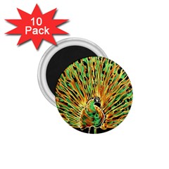 Unusual Peacock Drawn With Flame Lines 1 75  Magnets (10 Pack)  by BangZart