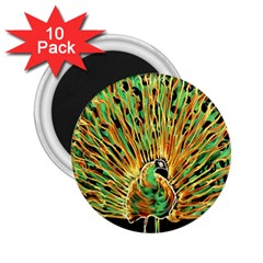 Unusual Peacock Drawn With Flame Lines 2 25  Magnets (10 Pack)  by BangZart