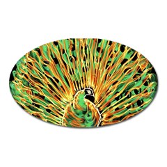 Unusual Peacock Drawn With Flame Lines Oval Magnet by BangZart