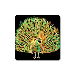 Unusual Peacock Drawn With Flame Lines Square Magnet by BangZart