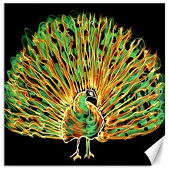 Unusual Peacock Drawn With Flame Lines Canvas 16  X 16   by BangZart