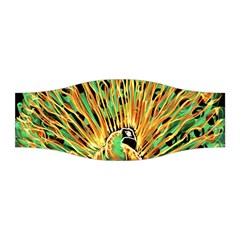 Unusual Peacock Drawn With Flame Lines Stretchable Headband by BangZart