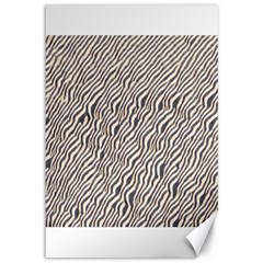 Zebra Pattern Animal Print Canvas 12  X 18  