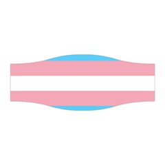 Trans Pride Stretchable Headband by Crayonlord