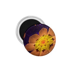 Beautiful Violet & Peach Primrose Fractal Flowers 1 75  Magnets by jayaprime