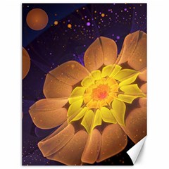 Beautiful Violet & Peach Primrose Fractal Flowers Canvas 12  X 16   by jayaprime